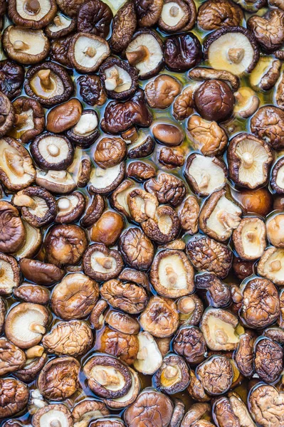 Pattern background of Shitake mushroom ingredient food — Stock Photo, Image