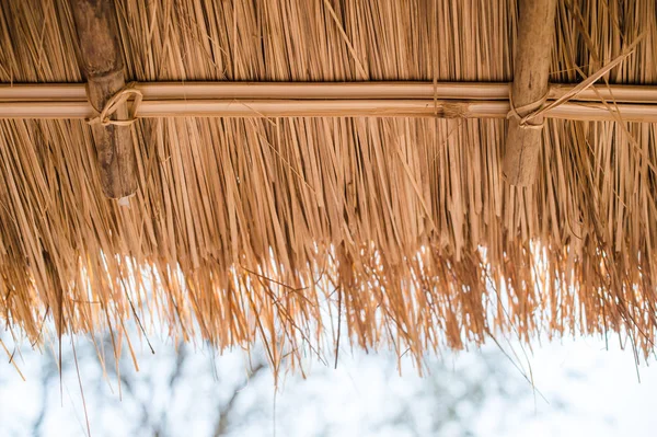 Gräs tak med bambu struktur närbild — Stockfoto