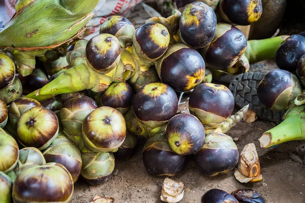 Detailní záběr na toddy palmového ovoce — Stock fotografie