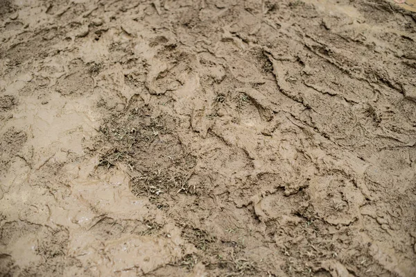 Fundo padrão de closeup chão de lama — Fotografia de Stock