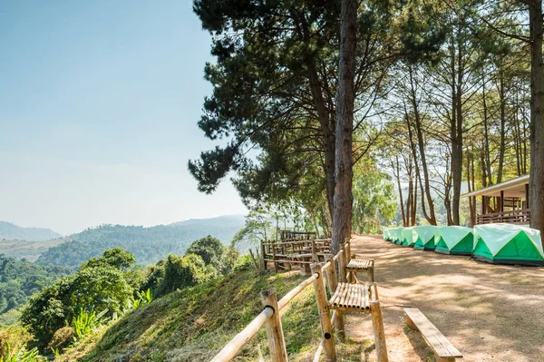 松の木の風景とテントキャンプ ロイヤリティフリーのストック写真