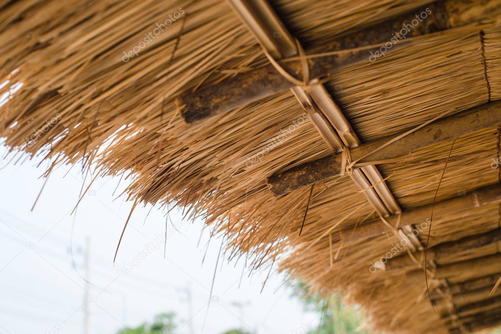 Grass roof with bamboo structure closeup