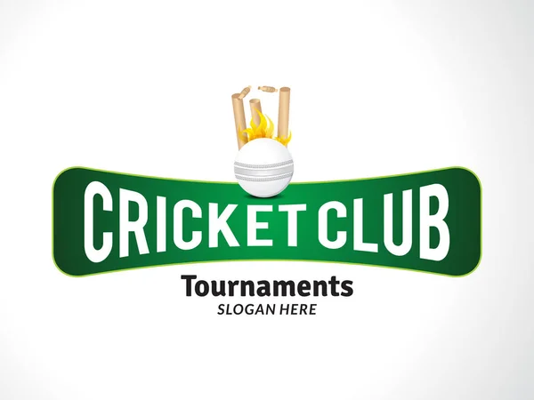 Banner torneio de críquete com bola de críquete — Vetor de Stock
