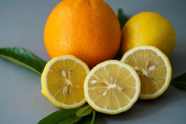 Organik limon ve portakal izole gri arka plan-