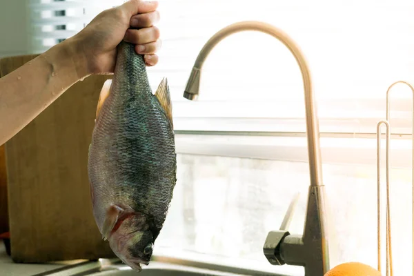 Seabass after cleaning - ready for cooking — Stock Photo, Image