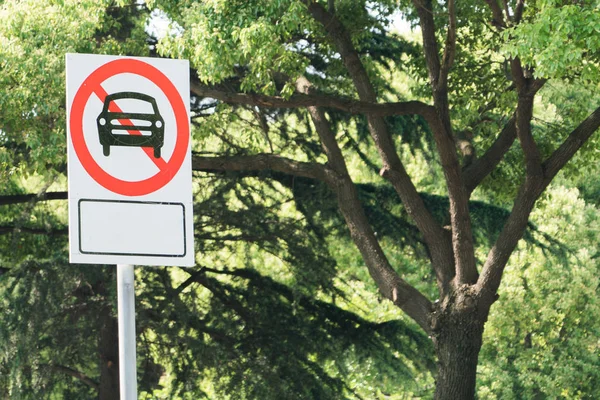 Interdit aucun panneau de signalisation de voiture de stationnement sur le fond de l'arbre — Photo