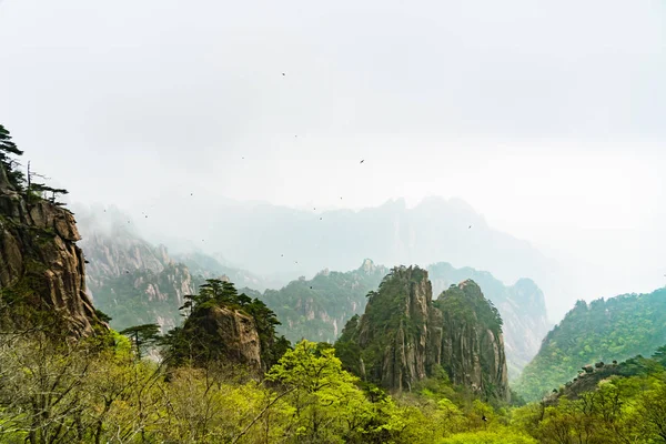 Landschap van Huangshan mountain (gele berg), Anhui, China met een zwarte vogels — Stockfoto