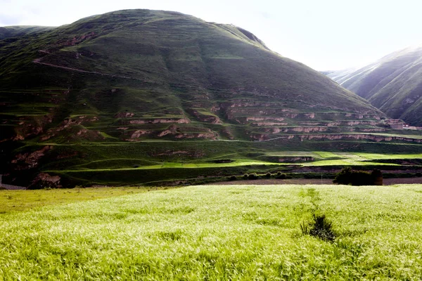 Groene Tibet landschap op zonnige dag met kleurenfilter — Stockfoto