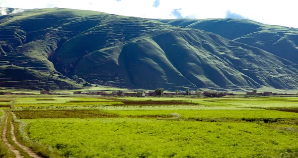 Grön Tibet landskap solig dag med färgfilter — Stockfoto