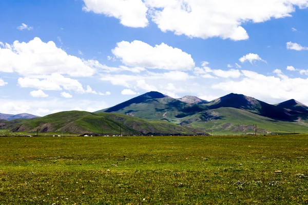 Groene Tibet landschap op zonnige dag met kleurenfilter — Stockfoto