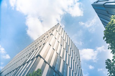 güneşli mavi gökyüzünde düşük açılı görünüş