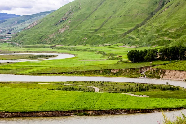 Groene Tibet landschap op zonnige dag met kleurenfilter — Stockfoto