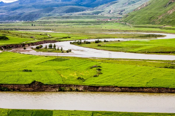 Landskap av gröna berg och lever på Tibet, Kina — Stockfoto