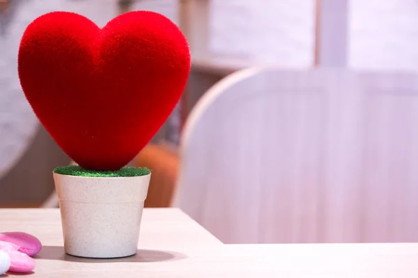 love red heart on the pot, soft and cute, valentines concept