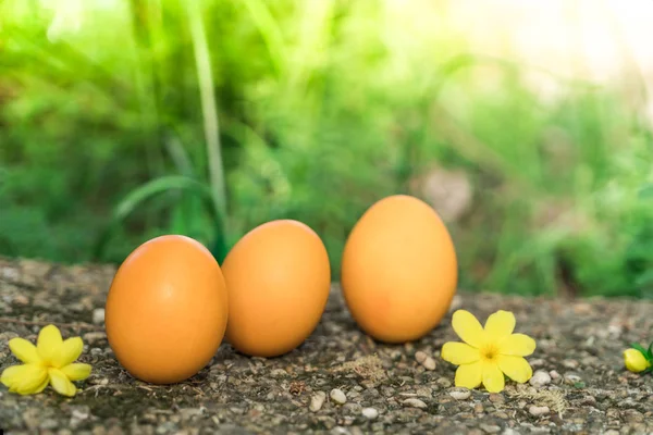 Ostersonntag, frohe Ostern, bunte Ostereier jagen Feiertagsdekorationen Osterkonzept Hintergründe mit Kopierraum — Stockfoto