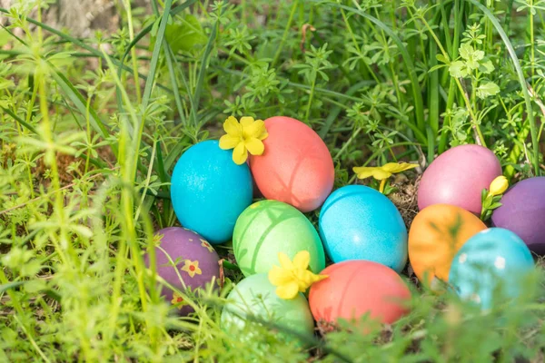 Easter sunday, happy easter, colorful easter eggs hunt holiday decorations easter concept backgrounds with copy space