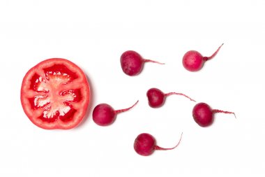 sperm yumurta kavramı, insan yumurta, Kızıl dev kırmızı turp ve izole kırmızı domates sebze insan Sperm doğru Yüzme