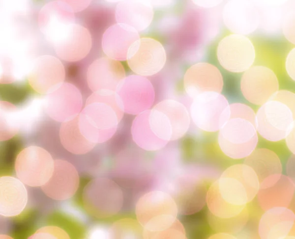 Sfondi colorati bokeh, cipolla colore sfocato bokeh sfondo — Foto Stock