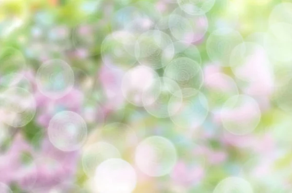 Sfondi colorati bokeh, cipolla colore sfocato bokeh sfondo — Foto Stock