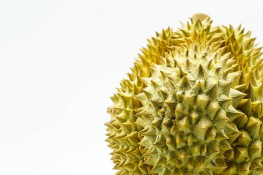 Taze kesilmiş Monthong Durian beyaz arka planda, Durian, Monthong Durian.Mon Thong.Beautiful Durian.Durian D158 görünümünü portre