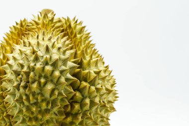 Taze kesilmiş Monthong Durian beyaz arka planda, Durian, Monthong Durian.Mon Thong.Beautiful Durian.Durian D158 görünümünü portre