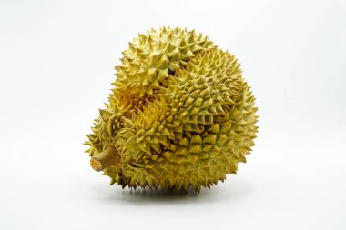 Taze kesilmiş Monthong Durian beyaz arka planda, Durian, Monthong Durian.Mon Thong.Beautiful Durian.Durian D158 görünümünü portre