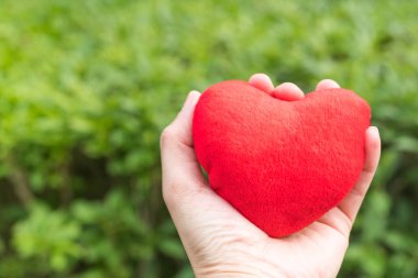 kopya alanı ile yeşil çim arka planlar üzerinde elinde kırmızı kalp