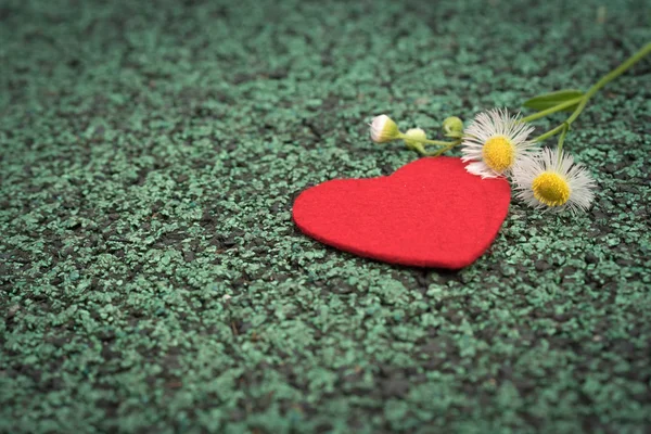 red heart and cute flower on the green walking path backgrounds with copy space