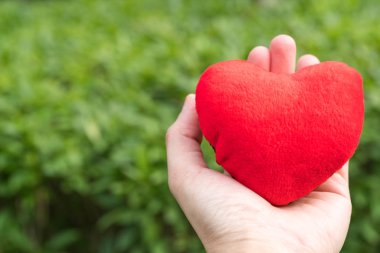 kopya alanı ile yeşil çim arka planlar üzerinde elinde kırmızı kalp