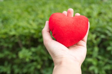 kopya alanı ile yeşil çim arka planlar üzerinde elinde kırmızı kalp