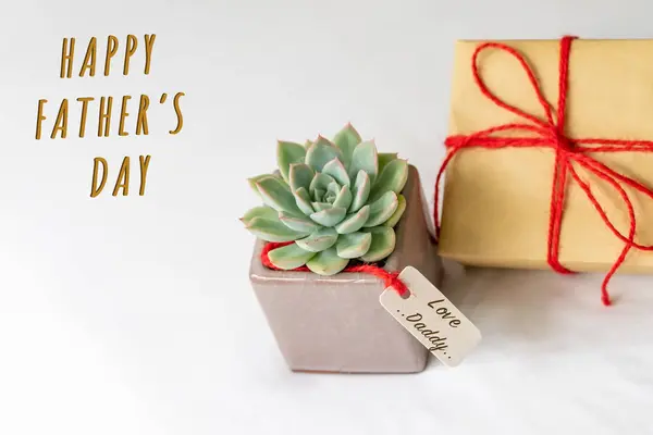 Concepto del día del padre feliz. Caja de regalo y cactus verde, etiqueta de papel con texto Love Daddy — Foto de Stock