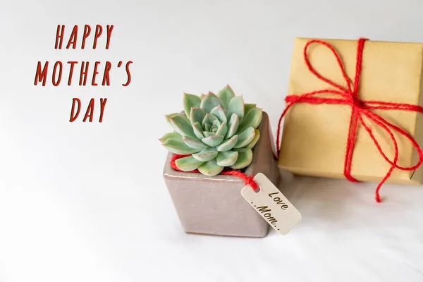 Feliz concepto del día de la madre. Caja de regalo y cactus verde, etiqueta de papel con texto LOVE MOM — Foto de Stock