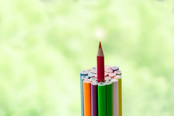Outstanding color pencil stand higher than other. successful and achievement concept — Stock Photo, Image
