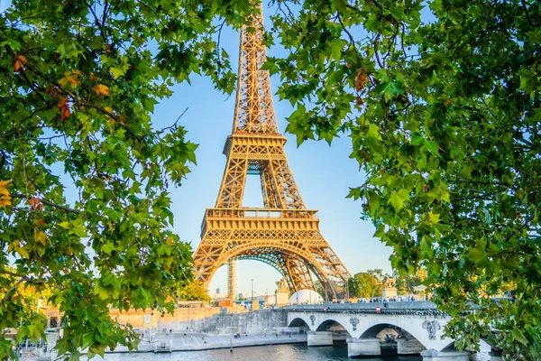 Tour Eiffel Paris France Vue Travers Feuille Érable — Photo