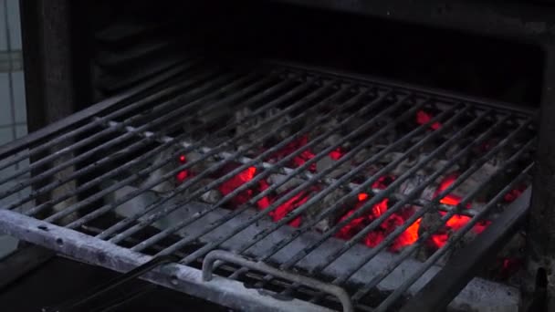 Tasty grilled steak in oven — Stock Video