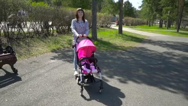 Νεαρή μητέρα περπάτημα με ένα καρότσι στο πάρκο — Αρχείο Βίντεο