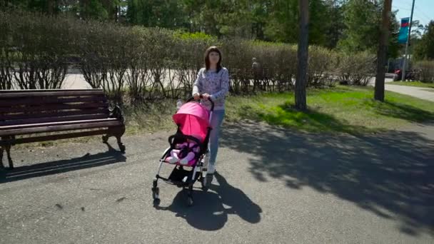 Mladá matka chůzi s kočárkem v parku — Stock video