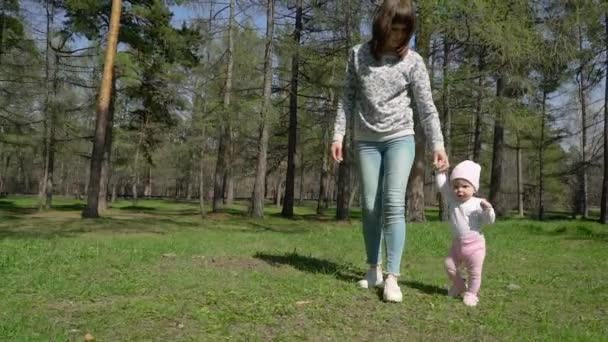 Una joven madre le enseña a caminar a su hija. En el parque en la hierba verde . — Vídeo de stock