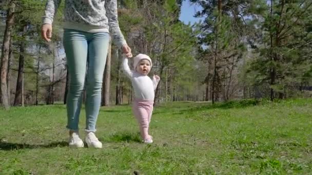 Egy fiatal anya lánya tanít, hogyan kell járni. A parkban, a zöld fű. — Stock videók