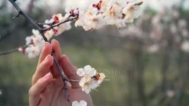bahçede Pembe çiçek kokulu güzel bir kızın portresi