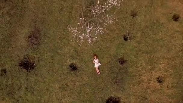 Mooie jonge vrouw liggend op gras met bloemen In rode jurk. Luchtfoto video schieten. — Stockvideo