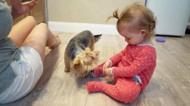 Evde köpek sevimli küçük kız ve komik. Anne ve kızı küçük bir köpek besleme