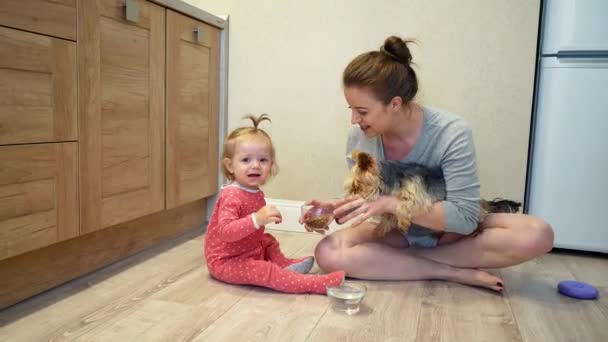 Menina bonito e cão engraçado em casa. Mãe e filha estão alimentando um pequeno cão — Vídeo de Stock