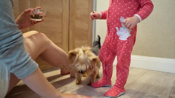 Nettes kleines Mädchen und lustiger Hund zu Hause. Mutter und Tochter füttern einen kleinen Hund — Stockvideo