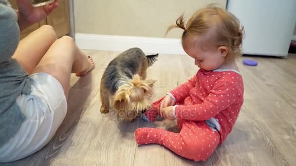 Nettes kleines Mädchen und lustiger Hund zu Hause. Mutter und Tochter füttern einen kleinen Hund — Stockvideo