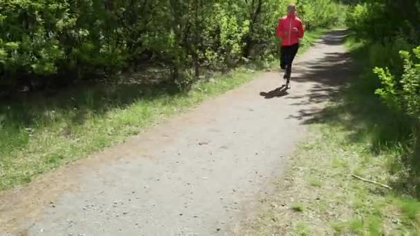 Brzy ráno krásnou dívku v růžový svetr je Jogging v lese v brzy na jaře, na pozadí z stromy s mladé listy, vede aktivní životní styl — Stock video