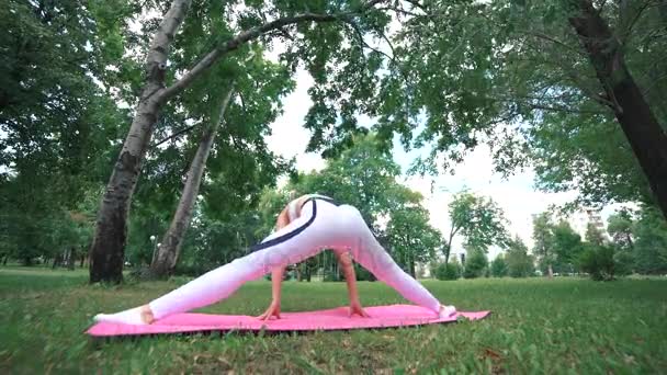 Дівчина займається гімнастикою в парку — стокове відео