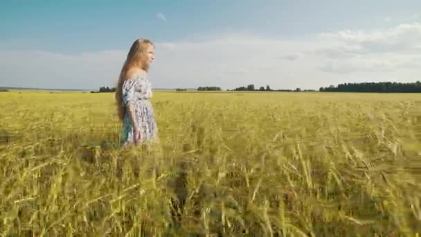 En cámara lenta. Belleza chica romántica caminando sola a través del campo de trigo dorado y tocando las espigas de trigo. Mujer joven disfrutando de la naturaleza al aire libre . — Vídeo de stock