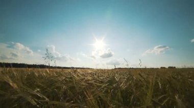 bir post delik kazma