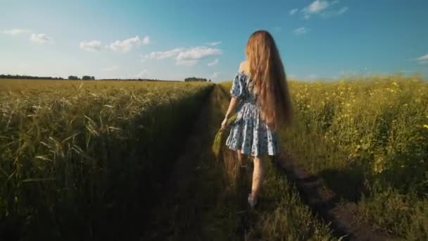 En kvinna i en klänning kör på vägen till fältet. — Stockvideo